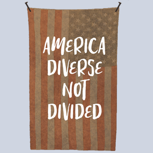 America Diverse Not Divided